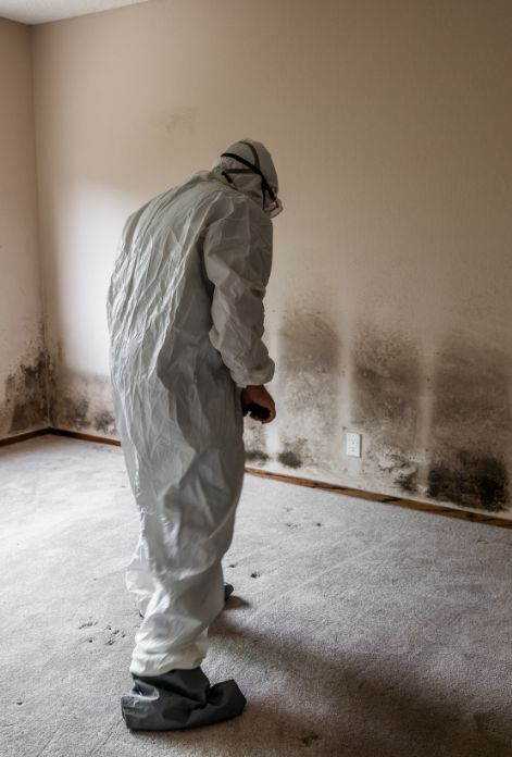 Mold Exposure Treatment